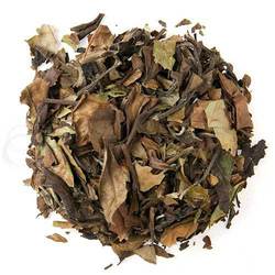 Dark Olive Green Sowmee White Tea